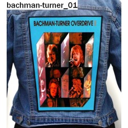 Ekran Bachman-turner 01