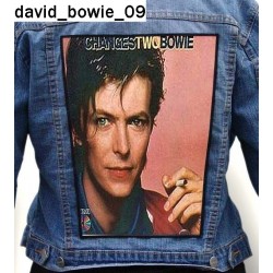 Ekran David Bowie 09