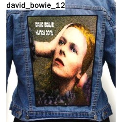 Ekran David Bowie 12