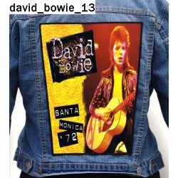 Ekran David Bowie 13