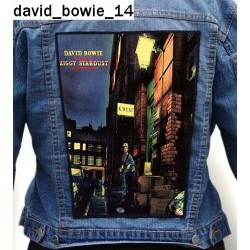 Ekran David Bowie 14