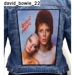 Ekran David Bowie 22