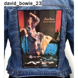 Ekran David Bowie 23