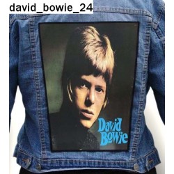 Ekran David Bowie 24