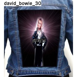 Ekran David Bowie 30