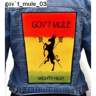 Ekran Govt Mule 03