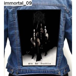 Ekran Immortal 09