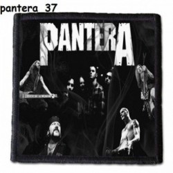 Naszywka Pantera 37
